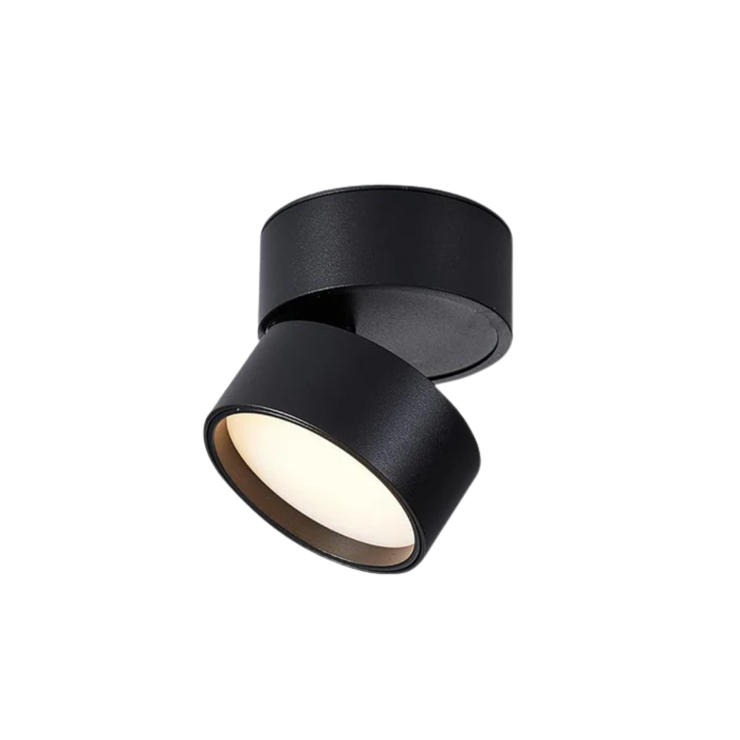Nowoczesna lampa sufitowa z regulacją kierunku światła i wbudowanym oświetleniem LED