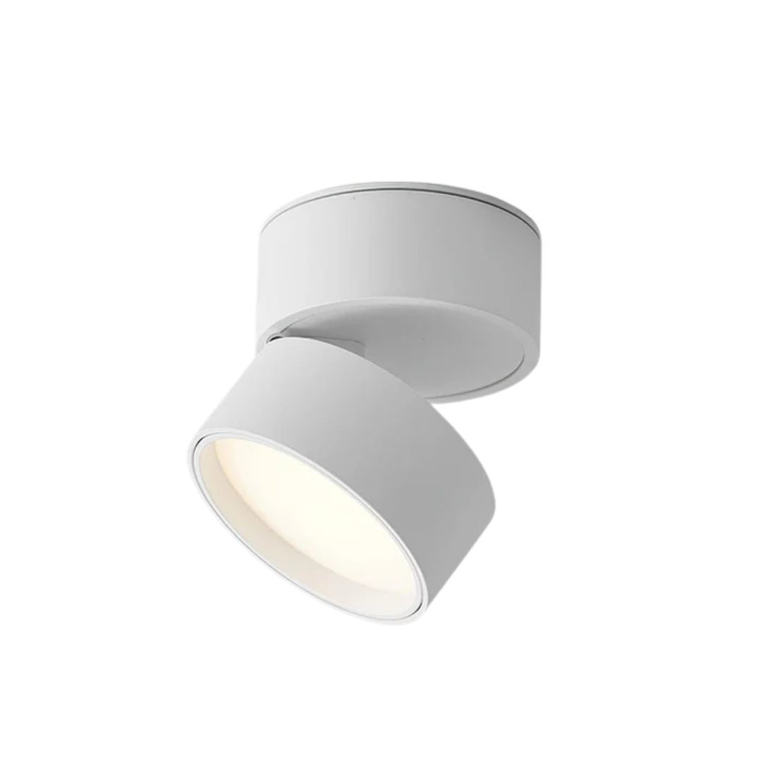 Nowoczesna lampa sufitowa z regulacją kierunku światła i wbudowanym oświetleniem LED