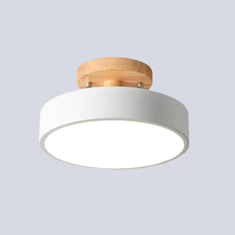 Inspirowana naturą lampa sufitowa w stylu skandynawskim – lampa natynkowa do nowoczesnego domu