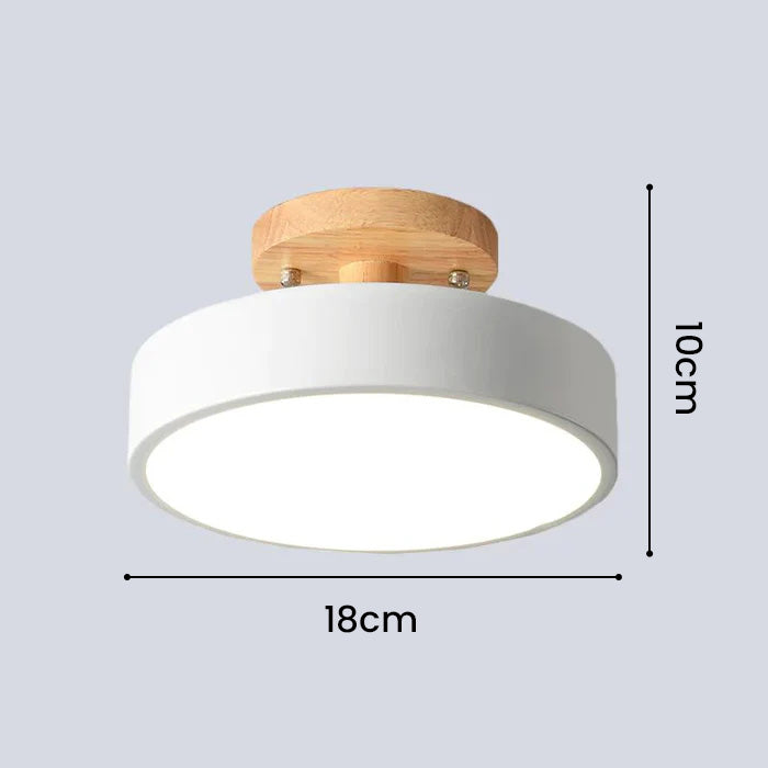 Inspirowana naturą lampa sufitowa w stylu skandynawskim – lampa natynkowa do nowoczesnego domu