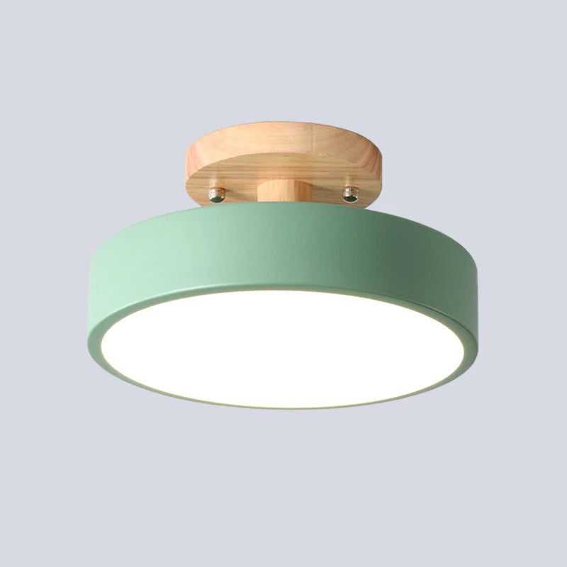 Inspirowana naturą lampa sufitowa w stylu skandynawskim – lampa natynkowa do nowoczesnego domu