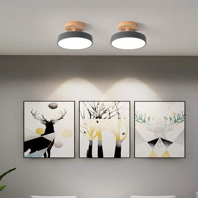 Inspirowana naturą lampa sufitowa w stylu skandynawskim – lampa natynkowa do nowoczesnego domu