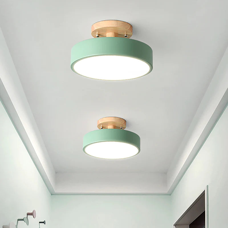 Inspirowana naturą lampa sufitowa w stylu skandynawskim – lampa natynkowa do nowoczesnego domu