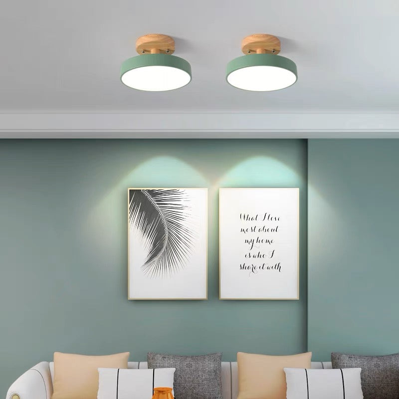 Inspirowana naturą lampa sufitowa w stylu skandynawskim – lampa natynkowa do nowoczesnego domu