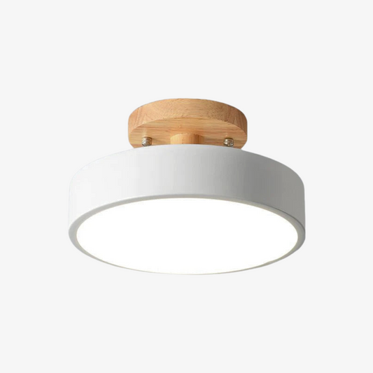 Inspirowana naturą lampa sufitowa w stylu skandynawskim – lampa natynkowa do nowoczesnego domu